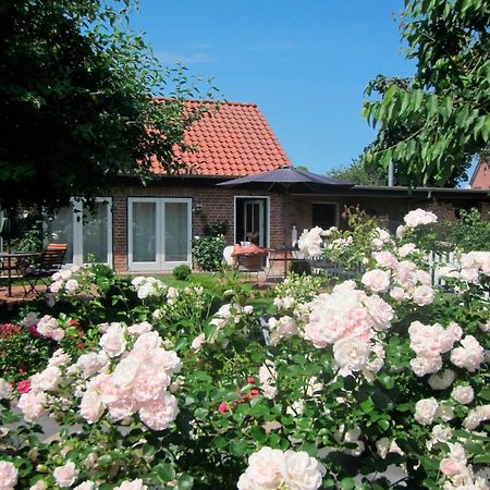 "Rosenkate 1" Apartment Riepsdorf Luaran gambar