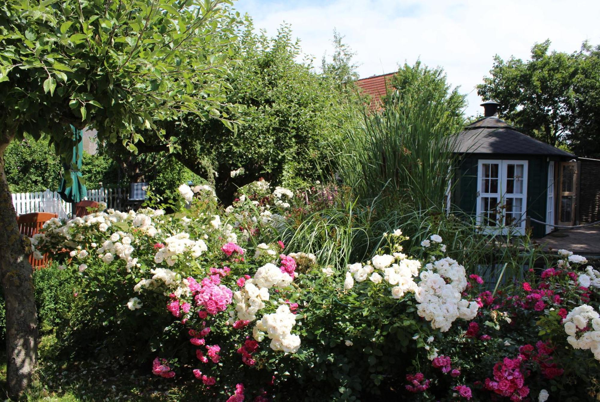 "Rosenkate 1" Apartment Riepsdorf Luaran gambar